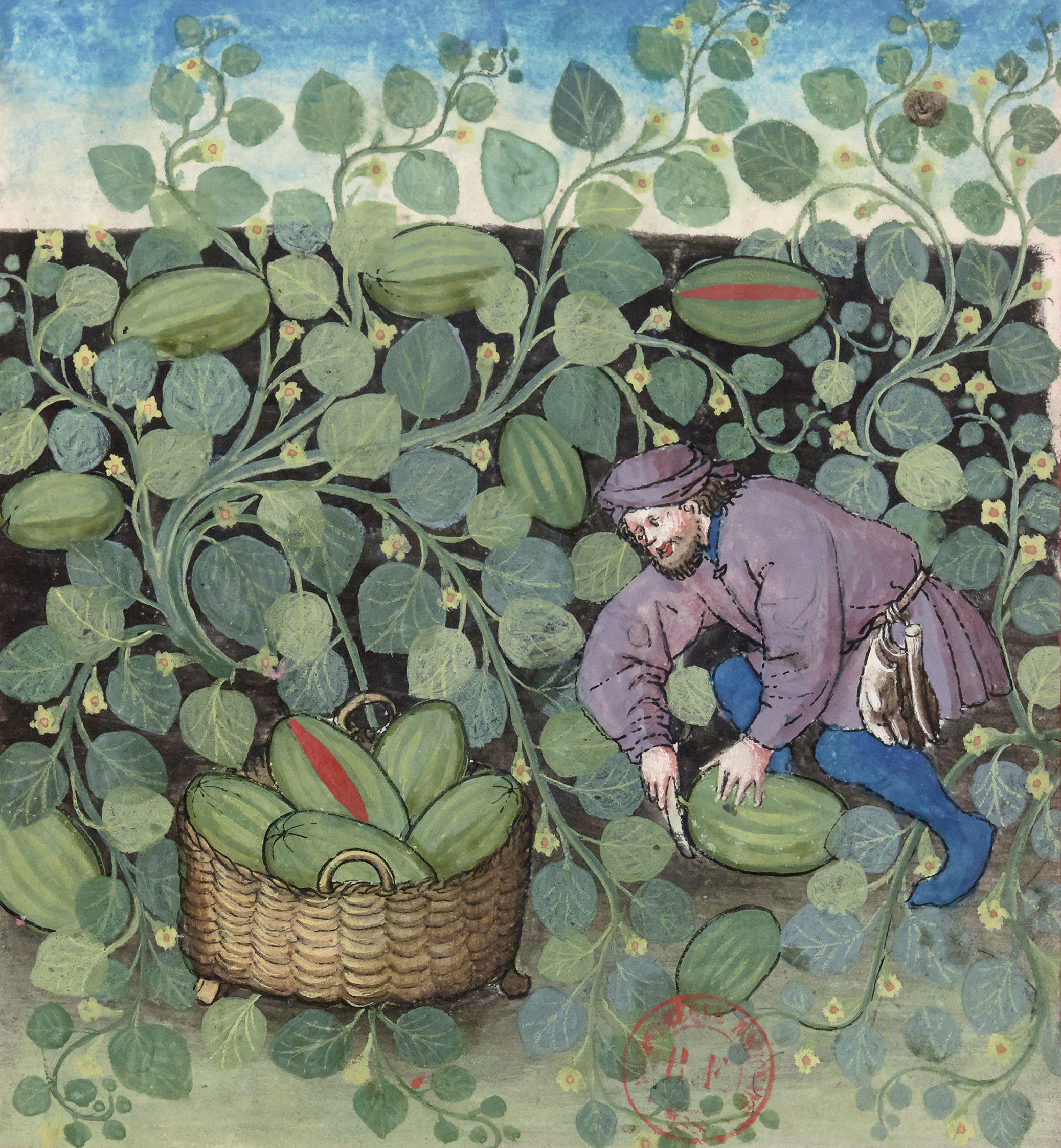 potager - Wikitractatus